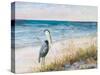 Heron Ocean View-Julie DeRice-Stretched Canvas