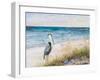 Heron Ocean View-Julie DeRice-Framed Art Print