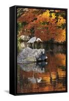 Heron on Lake in Autumn, Eikan-Do Temple, Northern Higashiyama, Kyoto, Japan-Stuart Black-Framed Stretched Canvas