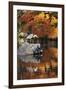 Heron on Lake in Autumn, Eikan-Do Temple, Northern Higashiyama, Kyoto, Japan-Stuart Black-Framed Photographic Print