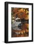 Heron on Lake in Autumn, Eikan-Do Temple, Northern Higashiyama, Kyoto, Japan-Stuart Black-Framed Photographic Print