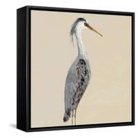 Heron on Tan I-Julie DeRice-Framed Stretched Canvas