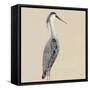 Heron on Tan I-Julie DeRice-Framed Stretched Canvas