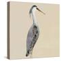 Heron on Tan I-Julie DeRice-Stretched Canvas