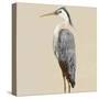 Heron on Tan II-Julie DeRice-Stretched Canvas