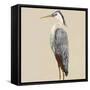 Heron on Tan II-Julie DeRice-Framed Stretched Canvas