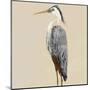 Heron on Tan II-Julie DeRice-Mounted Art Print