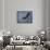 Heron Overhead-Jai Johnson-Giclee Print displayed on a wall