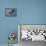 Heron Overhead-Jai Johnson-Giclee Print displayed on a wall