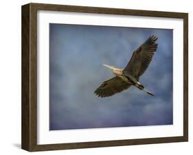 Heron Overhead-Jai Johnson-Framed Giclee Print