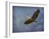 Heron Overhead-Jai Johnson-Framed Giclee Print