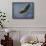 Heron Overhead-Jai Johnson-Framed Stretched Canvas displayed on a wall