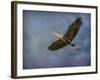 Heron Overhead-Jai Johnson-Framed Giclee Print