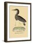 Heron Phaeton-null-Framed Art Print