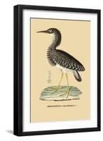 Heron Phaeton-null-Framed Art Print