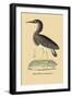 Heron Phaeton-null-Framed Art Print