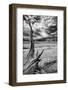 Heron Pond, Monochrome Version-Dean Fikar-Framed Photographic Print