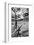 Heron Pond, Monochrome Version-Dean Fikar-Framed Photographic Print