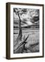 Heron Pond, Monochrome Version-Dean Fikar-Framed Photographic Print