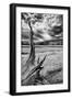 Heron Pond, Monochrome Version-Dean Fikar-Framed Photographic Print