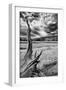 Heron Pond, Monochrome Version-Dean Fikar-Framed Photographic Print