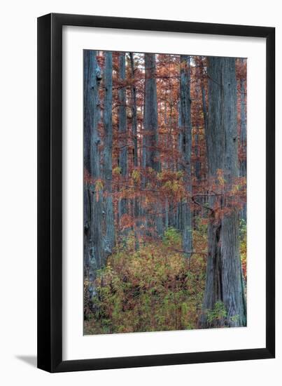 Heron Pond Twilight-Steve Gadomski-Framed Photographic Print