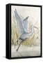 Heron Sanctuary I-Tim O'toole-Framed Stretched Canvas