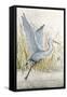 Heron Sanctuary I-Tim O'toole-Framed Stretched Canvas