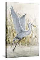 Heron Sanctuary I-Tim O'toole-Stretched Canvas