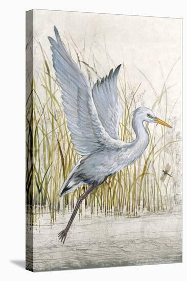 Heron Sanctuary I-Tim O'toole-Stretched Canvas