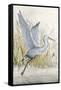 Heron Sanctuary I-Tim O'toole-Framed Stretched Canvas