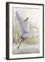 Heron Sanctuary I-Tim O'toole-Framed Art Print