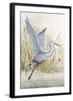 Heron Sanctuary I-Tim O'toole-Framed Art Print