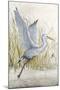 Heron Sanctuary I-Tim O'toole-Mounted Art Print