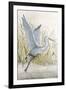 Heron Sanctuary I-Tim O'toole-Framed Art Print