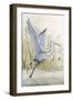 Heron Sanctuary I-Tim O'toole-Framed Art Print