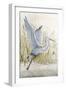 Heron Sanctuary I-Tim O'toole-Framed Art Print