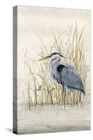 Heron Sanctuary II-Tim O'toole-Stretched Canvas