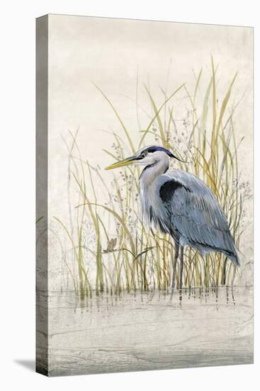 Heron Sanctuary II-Tim O'toole-Stretched Canvas