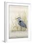 Heron Sanctuary II-Tim O'toole-Framed Art Print