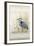 Heron Sanctuary II-Tim O'toole-Framed Art Print