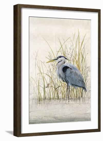 Heron Sanctuary II-Tim O'toole-Framed Art Print