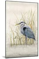 Heron Sanctuary II-Tim O'toole-Mounted Art Print