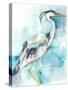 Heron Splash I-Jennifer Goldberger-Stretched Canvas