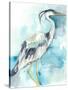 Heron Splash I-Jennifer Goldberger-Stretched Canvas