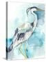 Heron Splash I-Jennifer Goldberger-Stretched Canvas