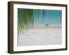 Heron Wading Along Water's Edge on Tropical Beach, Maldives, Indian Ocean-Papadopoulos Sakis-Framed Photographic Print