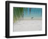 Heron Wading Along Water's Edge on Tropical Beach, Maldives, Indian Ocean-Papadopoulos Sakis-Framed Photographic Print