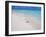 Heron Walking Along Waters Edge on Tropical Beach, Maldives, Indian Ocean-Sakis Papadopoulos-Framed Photographic Print