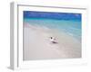 Heron Walking Along Waters Edge on Tropical Beach, Maldives, Indian Ocean-Sakis Papadopoulos-Framed Photographic Print